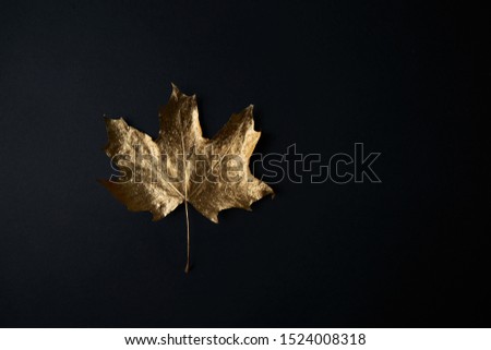 Creative Painted gold maple leaf on a black background. Autumn mock up. Flat lay