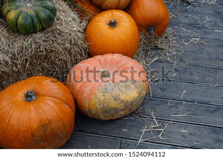 Many yellow and green autumn pumpkins of various shapes lie on the wooden floor - background for Thanksgiving and Halloween