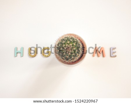 Hug me - colorful text with small cactus plant isolated on white background, top view, selective focus with copy space. Creative romantic greeting card, wallpaper or home decor design idea
