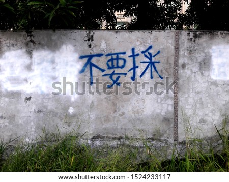 Cement wall text warning (Chinese meaning: please do not choose)
