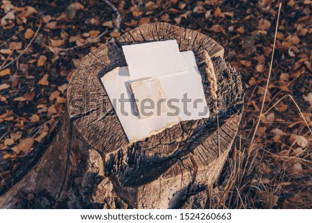 Blank greeting card. Vintage old  rustic wooden background. Flat lay, top view. Wedding invitation cards papers, rye laying on stump. Mockup.