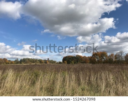 Countryside autumn in Belarus, big huge clouds on the sky, yellow grass field and buses, trees 