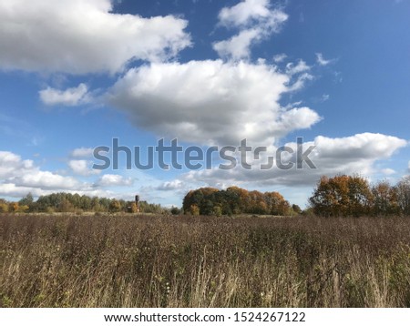 Countryside autumn in Belarus, big huge clouds on the sky, yellow grass field and buses, trees 