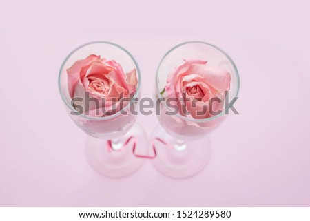 Rose buds in wineglasses on a pink background. Holiday, birthday, wedding, Valentine's day, Women's Day. Top view.