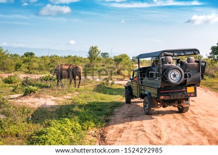 Live elephant on safari tour. Udawalawe Sri Lanka Royalty-Free Stock Photo #1524292985