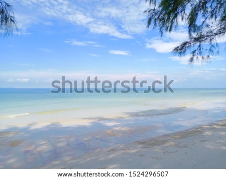 beautiful background of white sand beach and sea with clear blue sky and tree leaves with copy space 