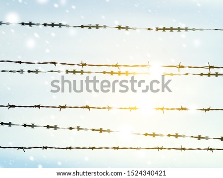 barbed wire fence against the blue morning sky