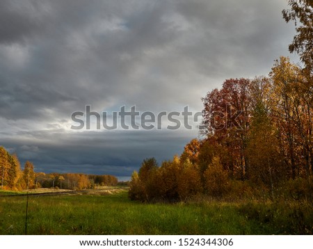 The edge of the autumn forest with yellowed leaves and the blue sky with heavy gloomy clouds portend the onset of rain.