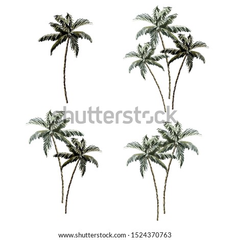 Beautiful tropical vintage coconut palm trees floral clip art. Exotic botanical print.
