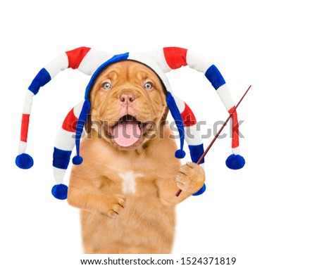Funny puppy in jester cap pointing away on empty space. isolated on white background