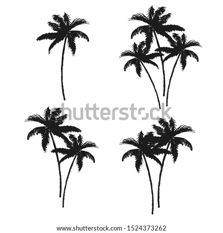 Beautiful tropical vintage coconut palm trees silhouettes floral clip art. Exotic botanical print.
