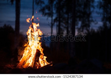 Burning campfire on a dark night in a forest Royalty-Free Stock Photo #1524387134