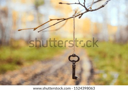Antique old key was lost on the road and hung on a tree