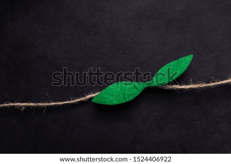 pattern of felt. felt product. green felt leaf