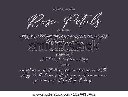 Hand drawn calligraphic vector font. Distress grunge texture. Modern script calligraphy type. ABC typography latin alphabet. Royalty-Free Stock Photo #1524413462