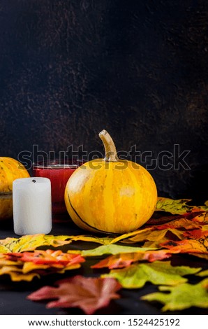 Halloween decorations,pumpkins, variety of gingerbreads,, spider and cobweb on black background, autumn holidays concept, harvesting, copy space, top view, 