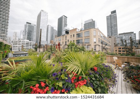 City view of a roof garden in the city of Toronto