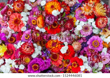 colorful flowers and roses. beautiful background