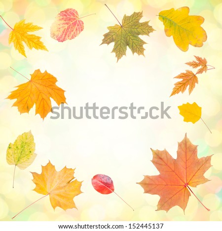 Autumn wallpaper with bright leaves for design, foliage background