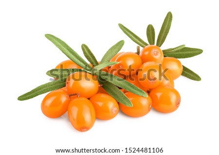 Sea buckthorn. Fresh ripe berry with leaves isolated on white background macro Royalty-Free Stock Photo #1524481106