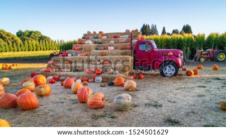 An old truck sits idyllically aside a sun kissed cornfield. A fresh harvest of pumpkins rest peacefully on bales of hay marking the arrival of autumn  halloween. Royalty-Free Stock Photo #1524501629