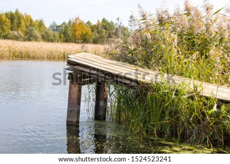 Pier on the river and lake. A place for fishing. Wooden bridge to the water. The road in the reeds. Wild nature. A fabulous place to relax.