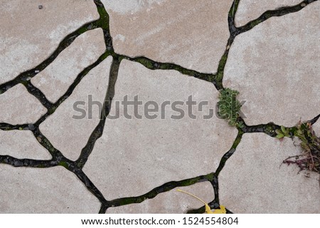 background, screensaver, texture of stone and grass, natural pattern of materials. path in the garden or at home.