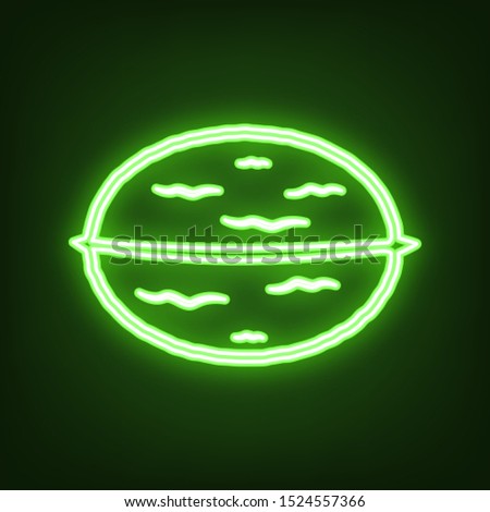 Walnut in shell sign. Green neon icon in the dark. Blurred lightening. Illustration.