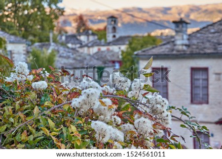 Traditional old stone houses in the picturesque village of Dilofo in Zagorochoria, Epirus, Western Greece Royalty-Free Stock Photo #1524561011