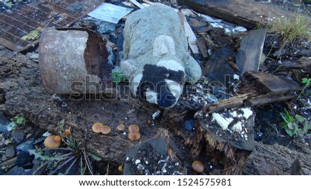 soft and dirty raccoon toy between debris from a destroyed building