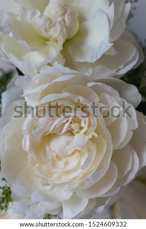 Closeup Bouquet of beautiful white peonies, wedding flowers