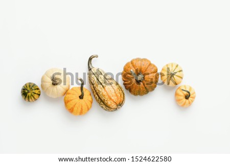Minimalist fall background with various pumpkins set in a row, autumn concept with blank space for a text
