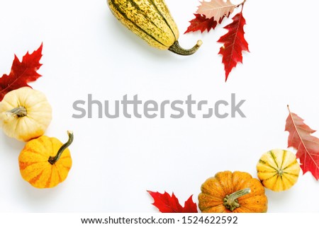 Autumn holidays background with copy space for a greeting text, greeting card or leaflet template with blank space