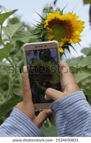 capture a vacation in the garden