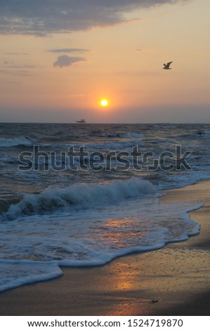 Beautiful sea sunset. Waves and seagulls