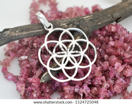 Silver seed of life pendant in branch, white background