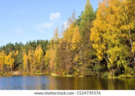 Golden autumn at forest lake. Zelenogorsk, Russia