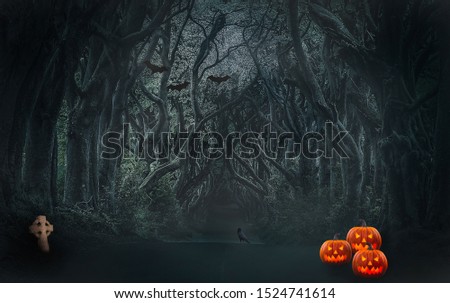 Creepy and dark forest at Halloween 