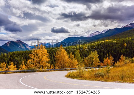 Road to Miette Hot Springs in the Rockies. Rain clouds cover the sky. Orange and yellow leaves of aspens and birches adorn the mountains. Concept of active, eco, car and photo tourism