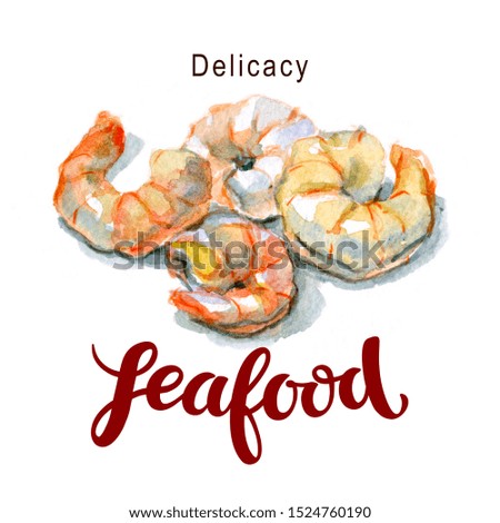 Watercolor sketch with seafood delicacies. Fresh peeled shrimp on a white background