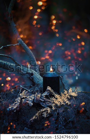 magic black candle in mystery dark autumn forest, abstract natural background. fairy scene. witchcraft ritual. Fall season. Mabon, Samhain sabbat, Halloween holiday concept. template for design Royalty-Free Stock Photo #1524796100