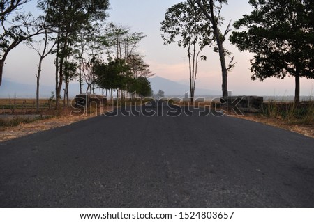 Scenery of aspalt road with tree and blue mountain background