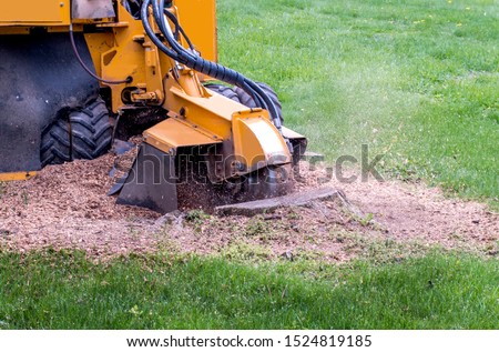 close up of a stump grinder machine, grinding up a tree stump into saw dust and mulch Royalty-Free Stock Photo #1524819185
