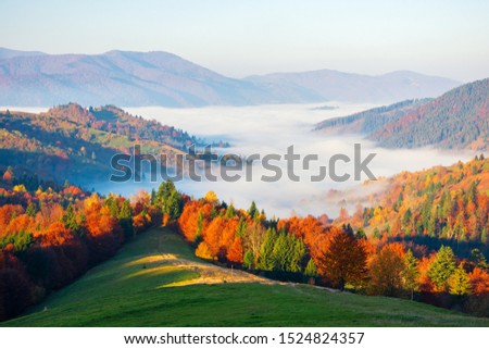 Fantastic autumn scenery in the mountains with meadow and colorful trees on foreground, fog underfoot and mountain ranges on background. National Nature Park Synevir, the Carpathian Mountains, Ukraine Royalty-Free Stock Photo #1524824357