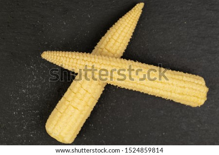 Group of two whole arranged baby yellow corn flatlay on grey stone