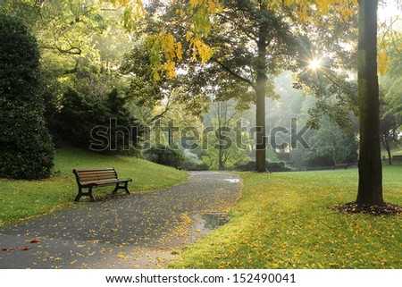Bench in a park on a sunny autumn morning. Morning walk.