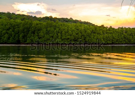 Landscape of mangrove forest in Kood island with evening light, Trad province, Thailand
