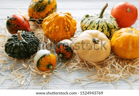 Pumpkins  on a wooden background with straw. Pumpkin harvest. Seasonal vegetables