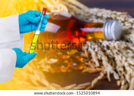 The scientists' hands hold a test tube. Background of capsules of rice bran oil. And the grains
