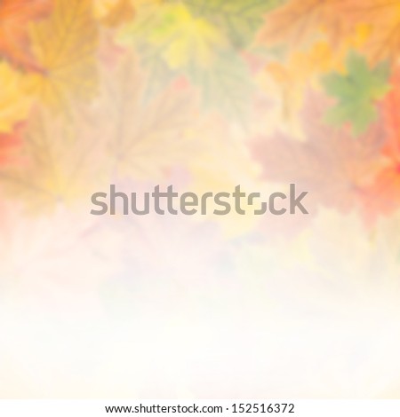 Autumn wallpaper with bright leaves for design, foliage background